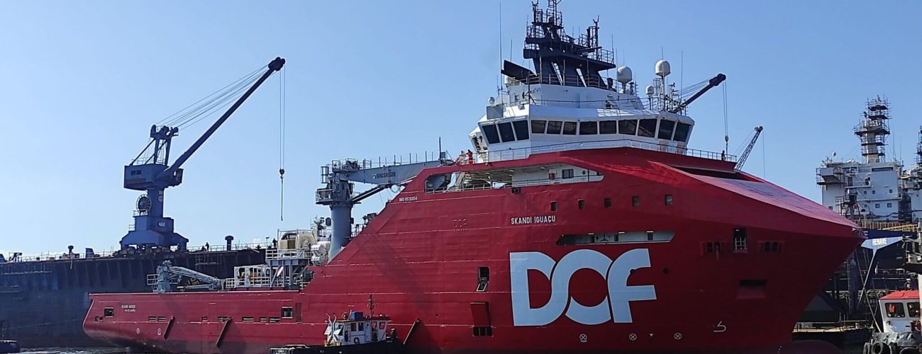 skandi_1